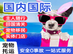 南充高坪机场货运国际宠物托运 【国